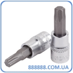     Torx 1/4"   T8 H2T08 Licota