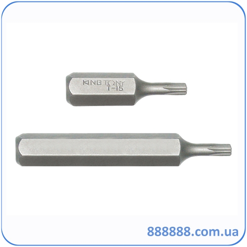  TORX 5/16