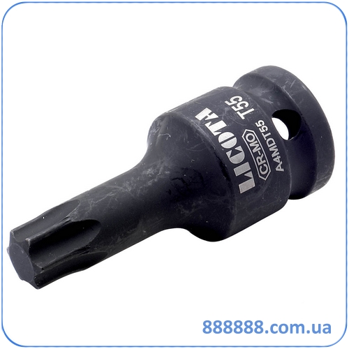  Torx  1/2