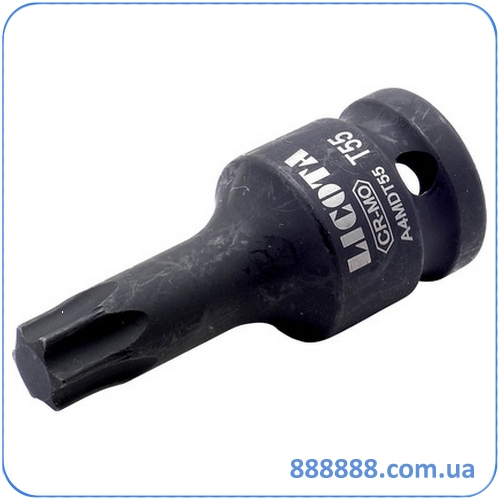  Torx  1/2