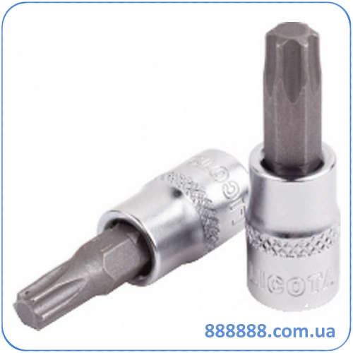     Torx 1/2