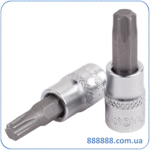     Torx 1/4