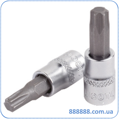     Torx 1/4