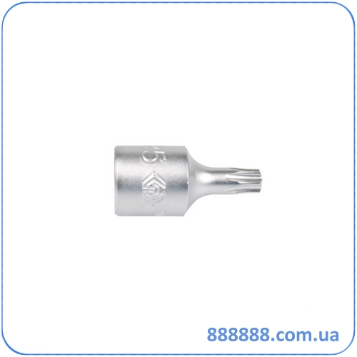  TORX 1/4